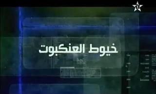 خيوط العنكبوت